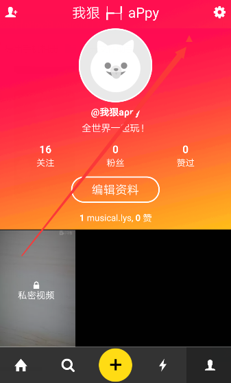这个84岁高龄的老女人佩洛西，在手术不到20多天的时间里，通过助行架走上了美国国会。